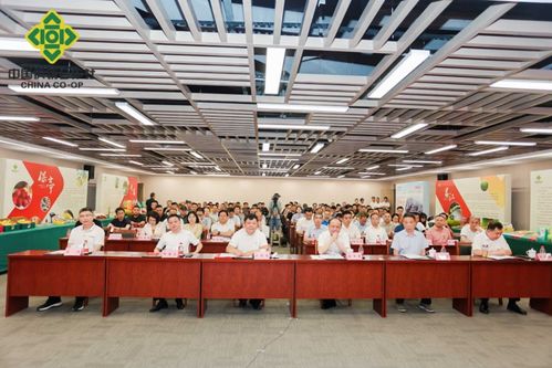 攜手合作，共創繁榮 2024年海南農副產品（孝感）產銷對接暨瓊鄂文化交流推介活動成功舉辦